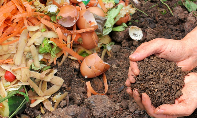 sell your home compost