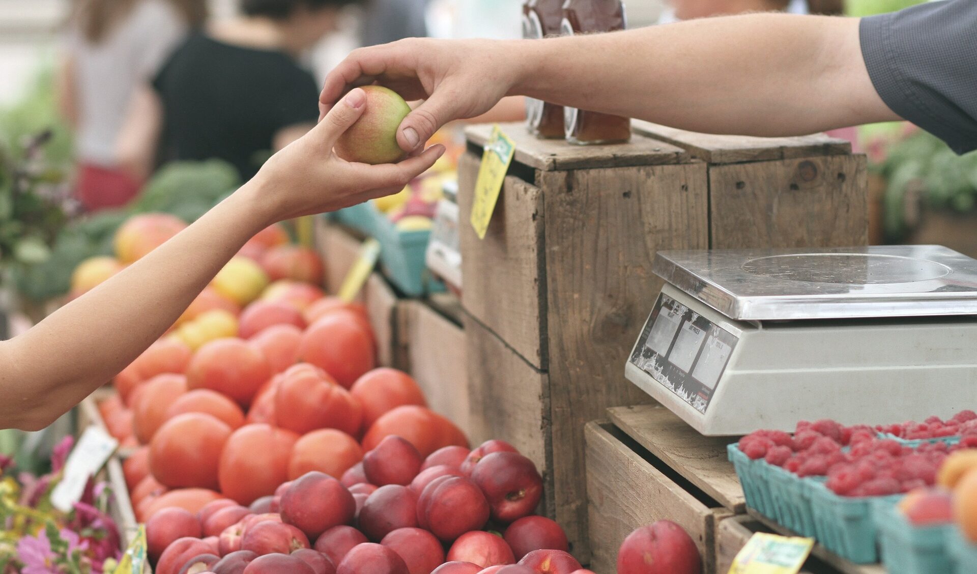 farmers market