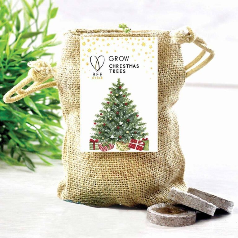 Secret Santa Ideas The Ultimate 2024 Gift Guide For All Budgets TopCashback Money Guides