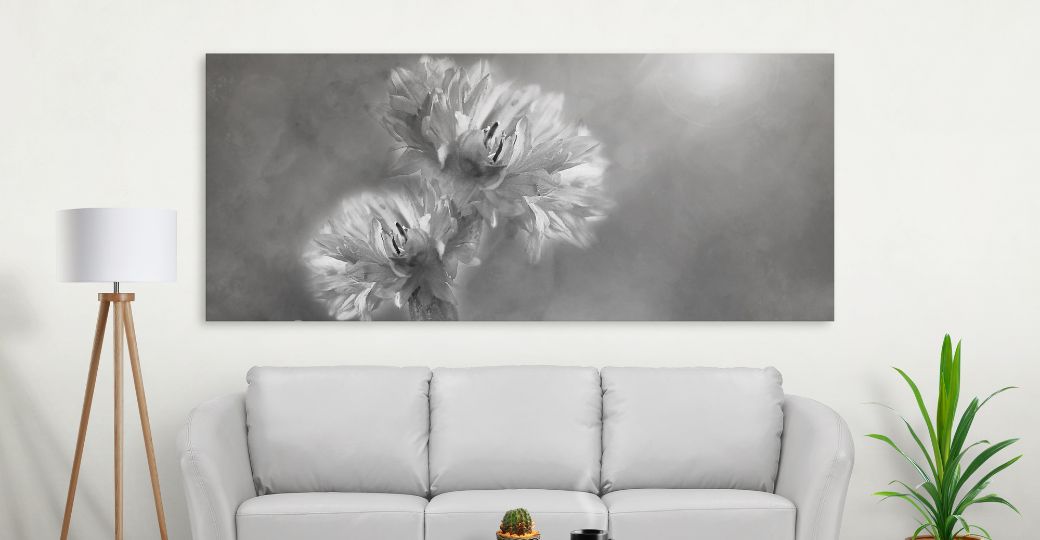 A black and white photo of dandelion flowers in a living room.