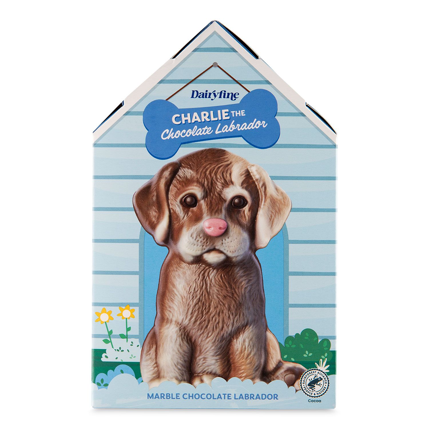 Aldi Charlie Chocolate Labrador