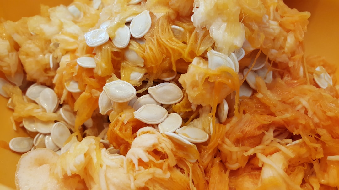 Photo by Shaun Holloway closeup photo of pumpkin seeds