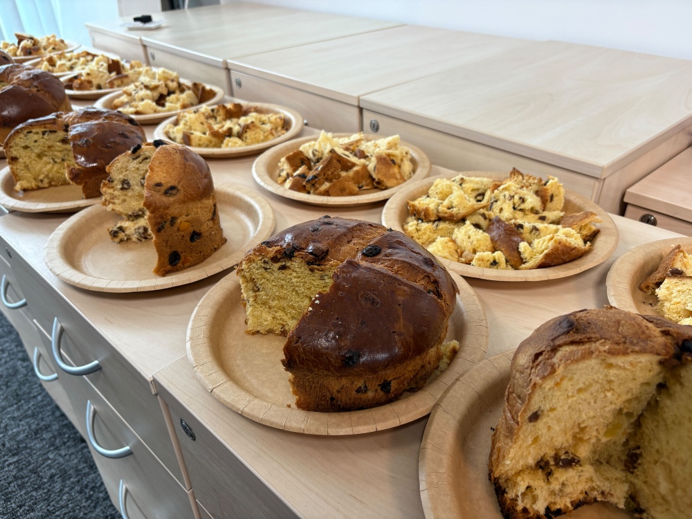 A row of sliced and divided supermarket panettone for a taste test