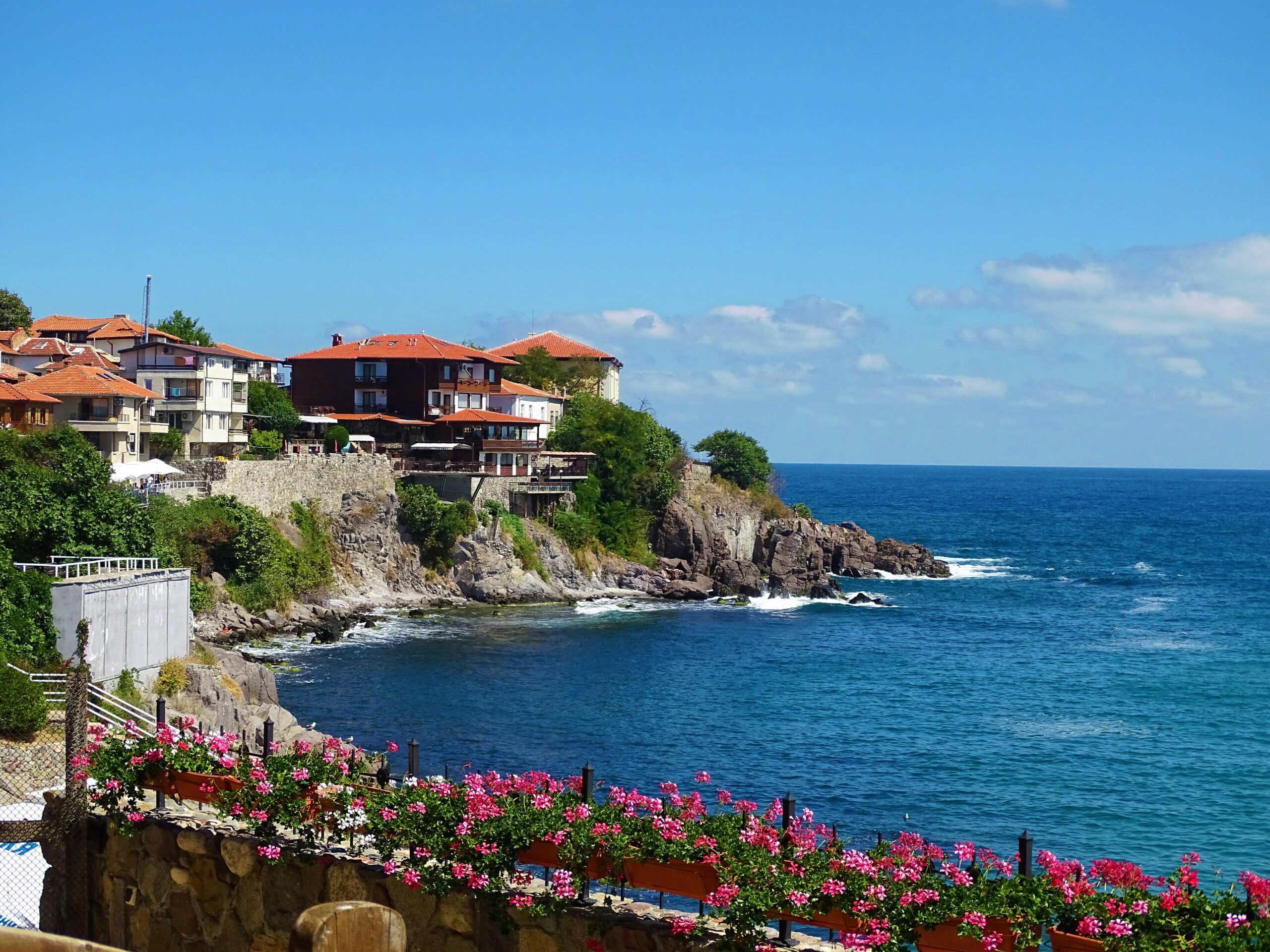 Coastal houses with red roofs overlook rocky cliffs and blue sea under a clear sky, with pink flowers in the foreground.
