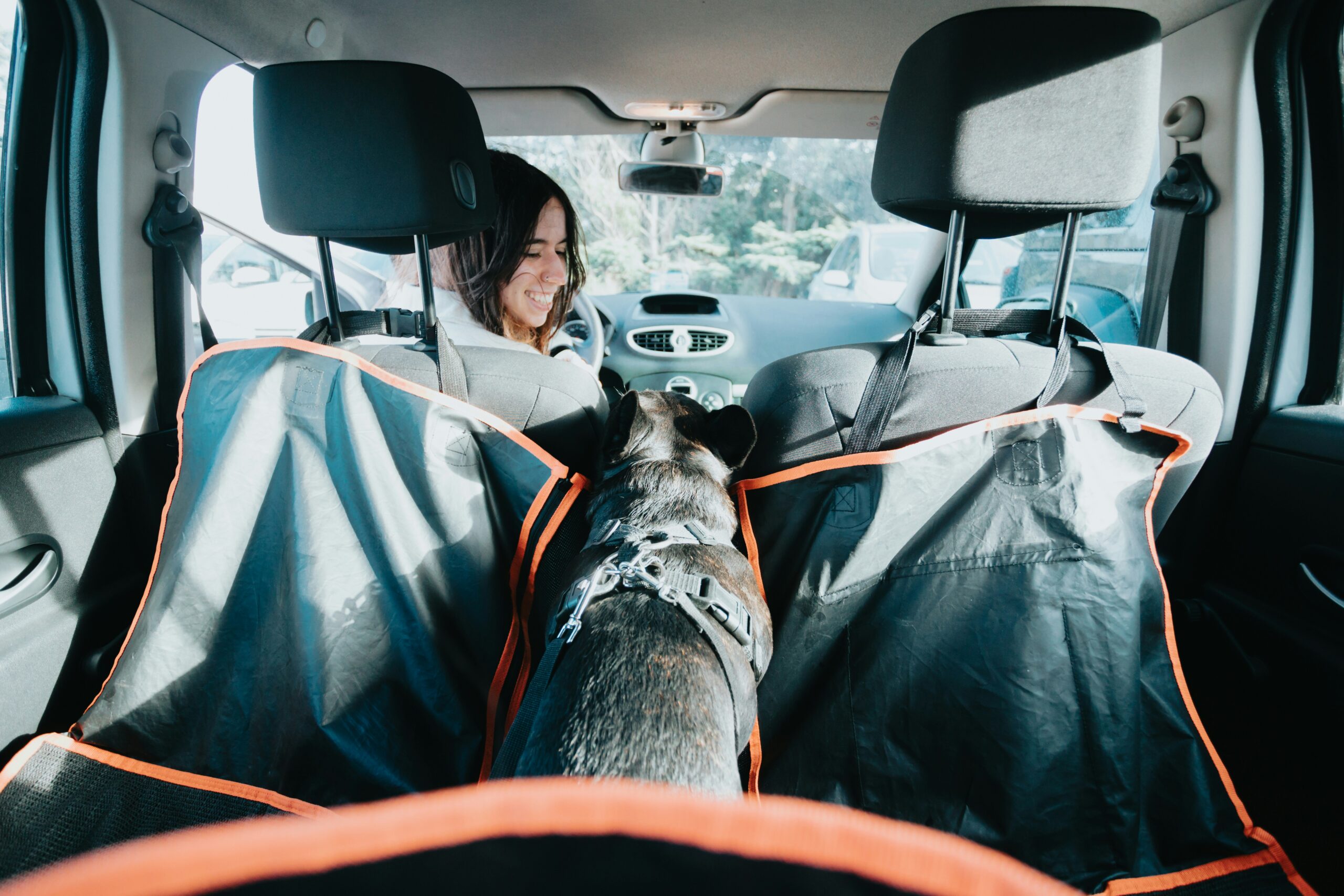 A woman sits in the front seat of a car, smiling at a black dog wearing a harness in the back seat, separated by protective seat covers.