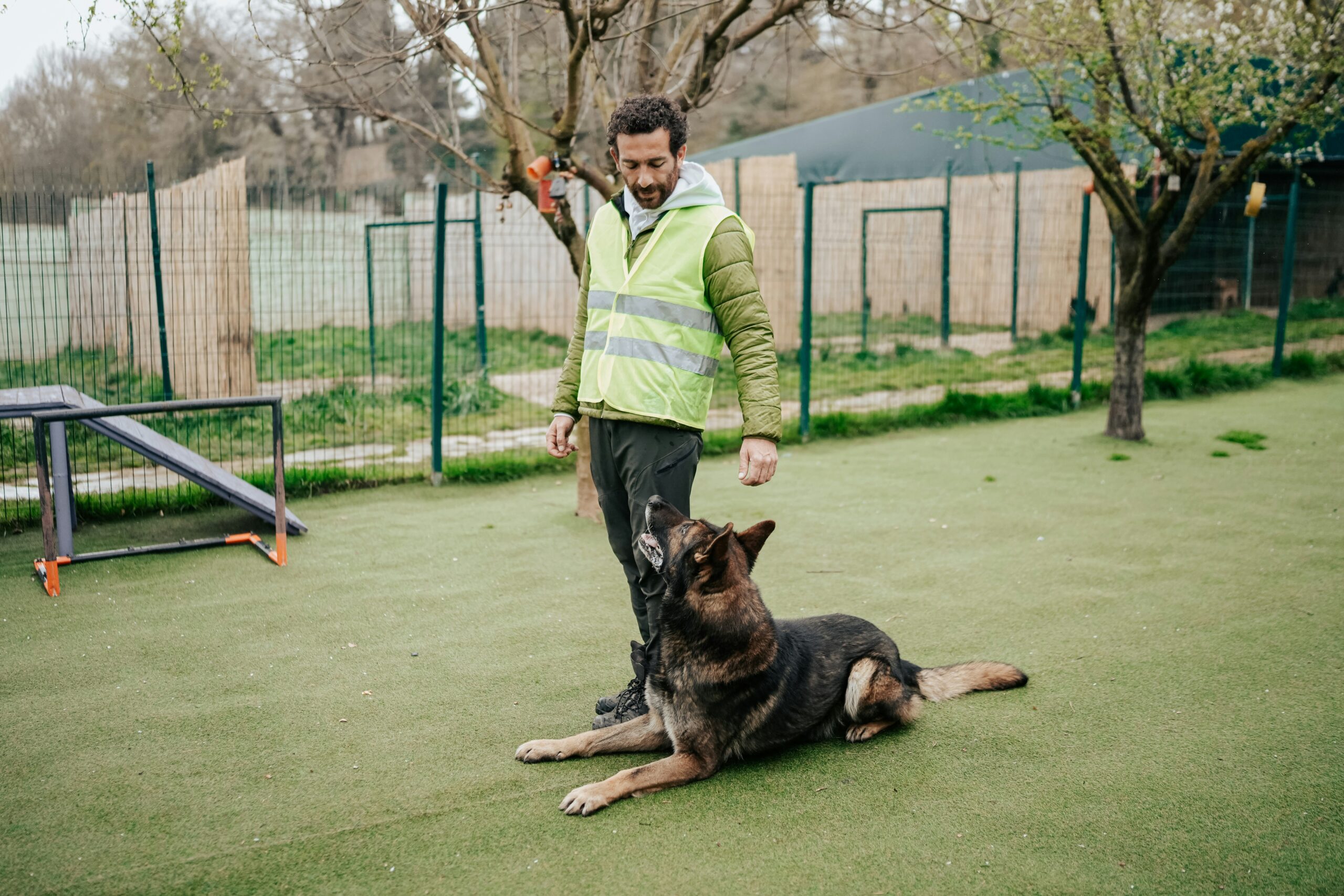 A man in a reflective vest stands on grass, looking down at a large German Shepherd dog lying at his feet in an outdoor fenced area.