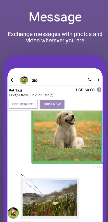 A mobile chat screen shows a conversation about a pet taxi booking, including images of a dog in a field and a landscape photo.