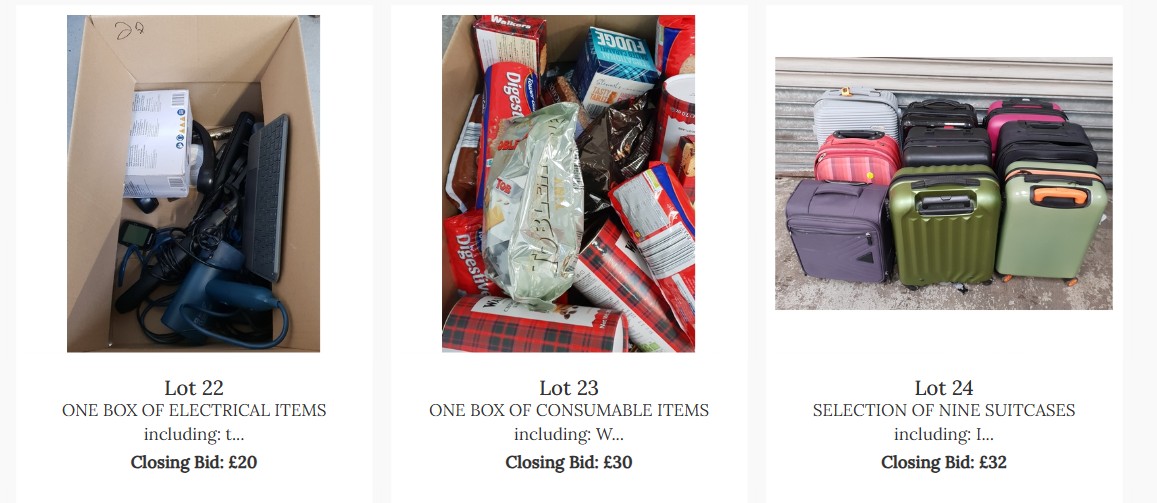 Three auction lots: a box of electrical items, a box of consumables, and nine assorted suitcases, each with their lot number and current closing bid shown.