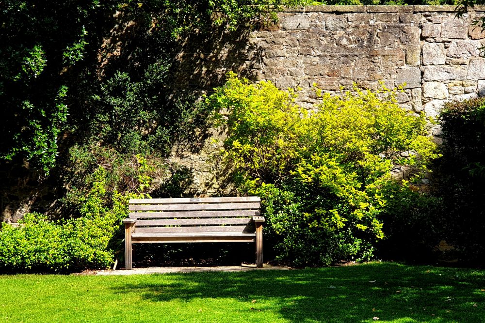 split your garden into distinct zones A wooden bench sits in front of a stone wall, surrounded by green bushes and grass, with sunlight casting shadows on the scene.