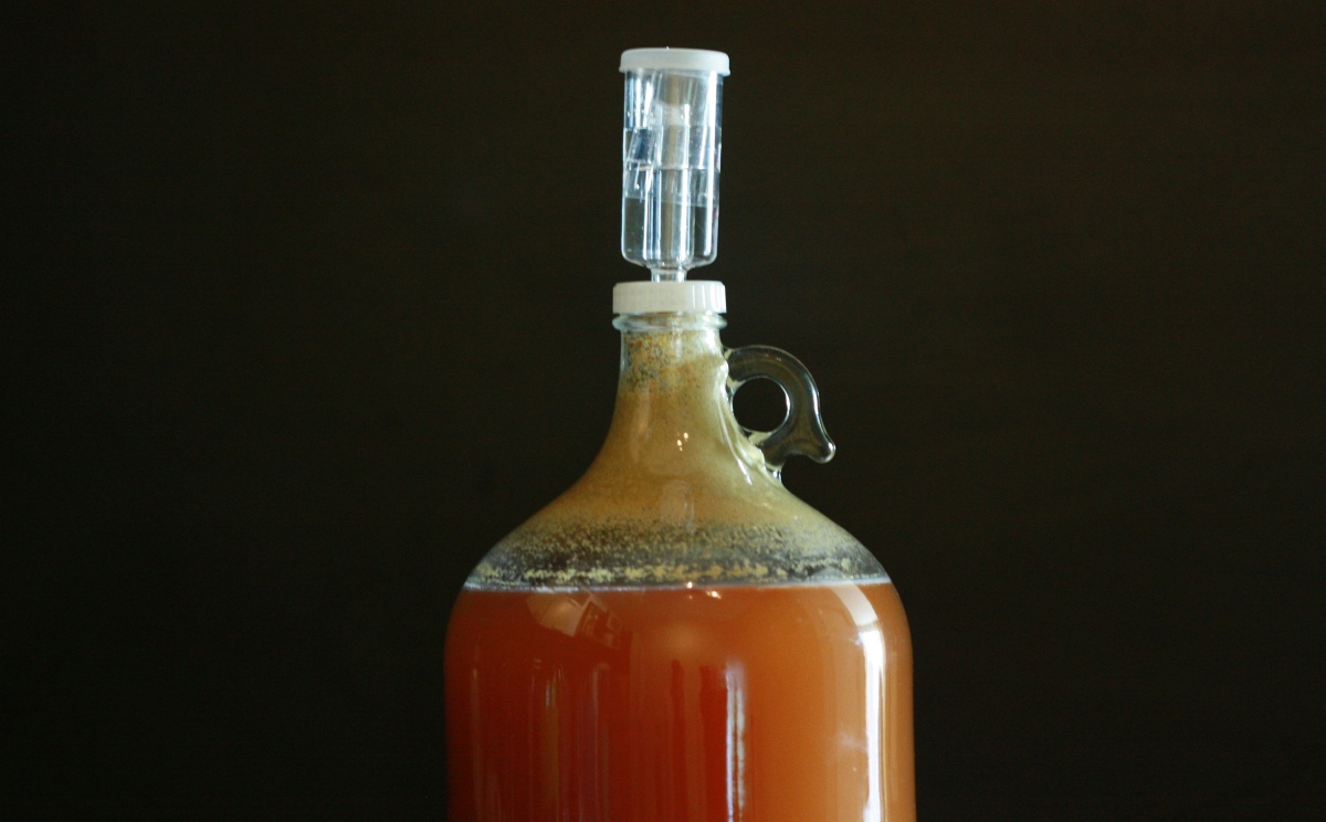 An image showing a glass vessel filled with homebrewing beer
