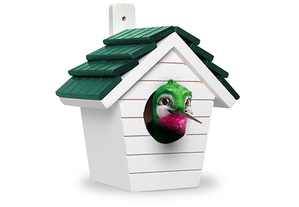 topcashback birthday home An image showing TipTop, TopCashback's hummingbird mascot, poking out of a birdhouse